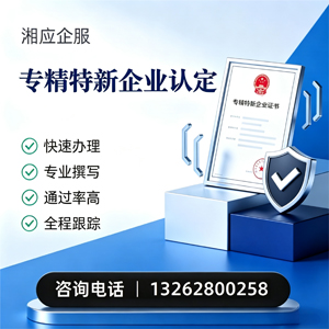 蚌埠专精特新企业申报服务