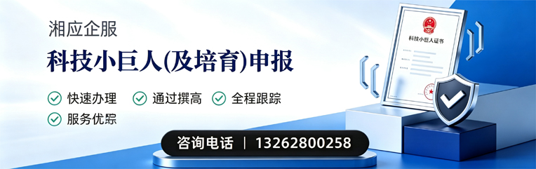 蚌埠科技小巨人及培育企业申报服务