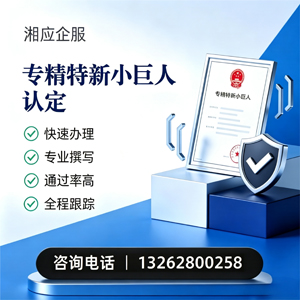 蚌埠专精特新小巨人申报服务