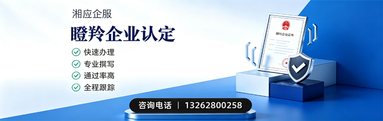 蚌埠瞪羚企业认定申报服务