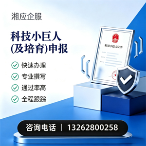 蚌埠科技小巨人及培育企业申报服务