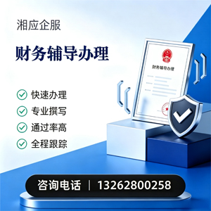 蚌埠财务辅导申请服务