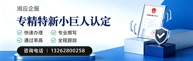 蚌埠专精特新小巨人申报服务